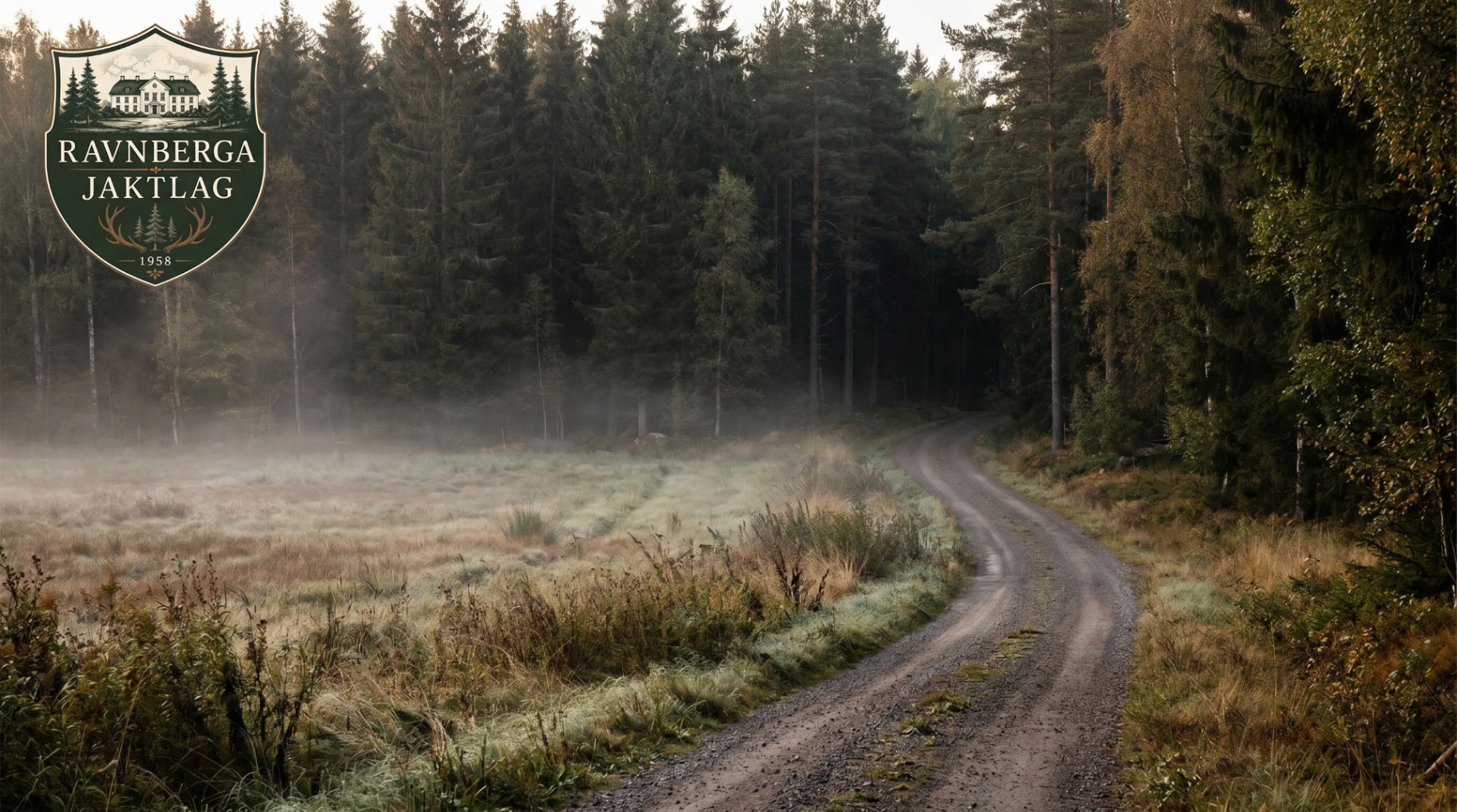 Ravnberga Jaktlag – dimmig skogsväg